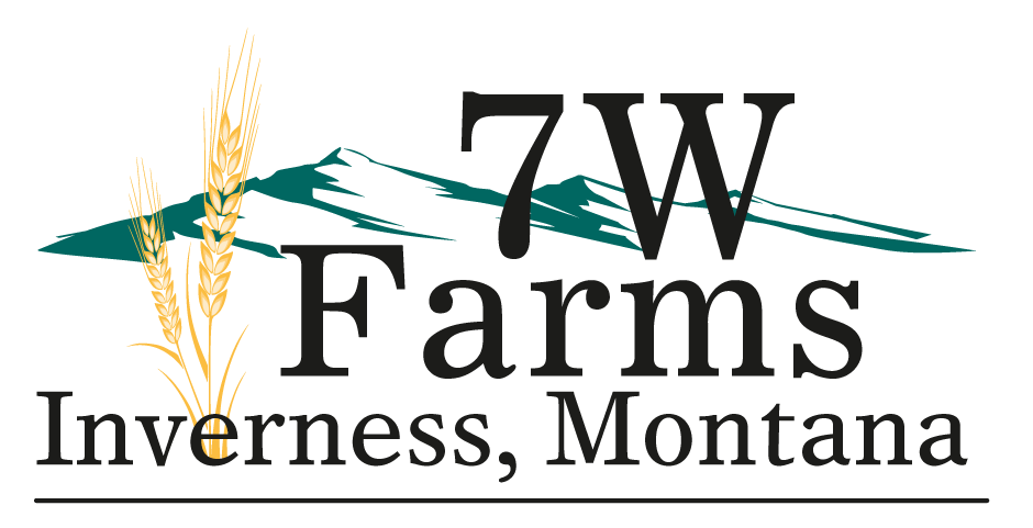 7W Enterprise Inc.